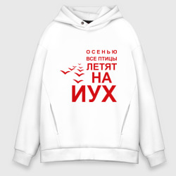 Мужское худи Oversize хлопок Птицы летят на йух