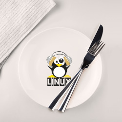 Тарелка Linux