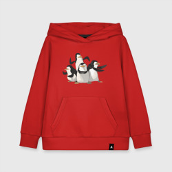 Детская толстовка хлопок Мадагаскар 8