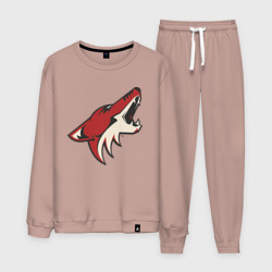 Мужской костюм хлопок Phoenix Coyotes