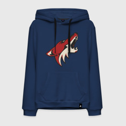 Мужская толстовка хлопок Phoenix Coyotes