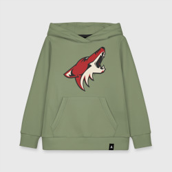 Детская толстовка хлопок Phoenix Coyotes