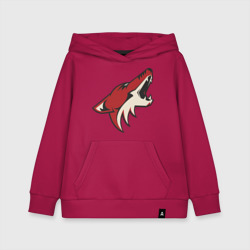 Детская толстовка хлопок Phoenix Coyotes