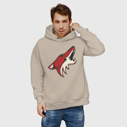 Мужское худи Oversize хлопок Phoenix Coyotes - фото 2