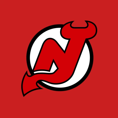 Мужской свитшот хлопок с принтом New Jersey Devils, фото на моделе #1