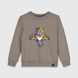 Детский свитшот хлопок Florida Panthers