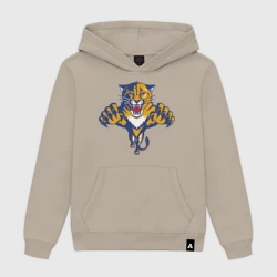 Мужская толстовка хлопок Florida Panthers