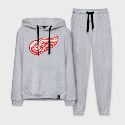 Мужской костюм хлопок с толстовкой Detroit Red Wings