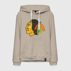 Мужская толстовка хлопок Chicago Blackhawks