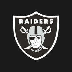 Мужской свитшот хлопок Raiders - фото 2