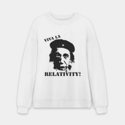 Мужской свитшот oversize без начеса хлопок Эйнштейн - Viva La Relativity!