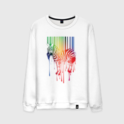 Мужской свитшот хлопок Color zebra