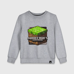 Детский свитшот хлопок Minecraft logo