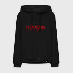 Мужская толстовка хлопок My Dying Bride logo