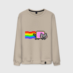 Мужской свитшот хлопок Nyan Cat