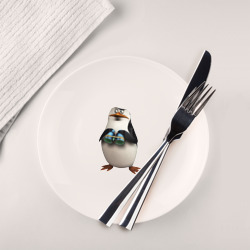 Тарелка Пингвин с биноклем