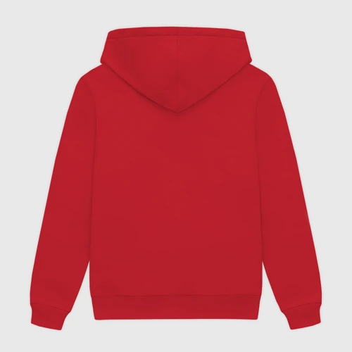 Мужская толстовка хлопок с принтом The Offspring classic logo, вид сзади #1