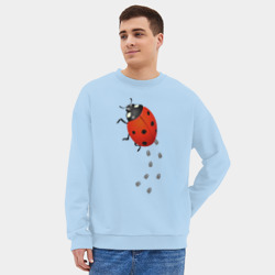Мужской свитшот oversize без начеса хлопок Реалистичная божья коровка - фото 2