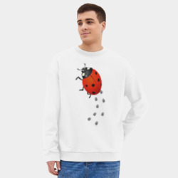 Мужской свитшот oversize без начеса хлопок Реалистичная божья коровка - фото 2