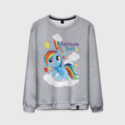 Мужской свитшот хлопок Rainbow Dash