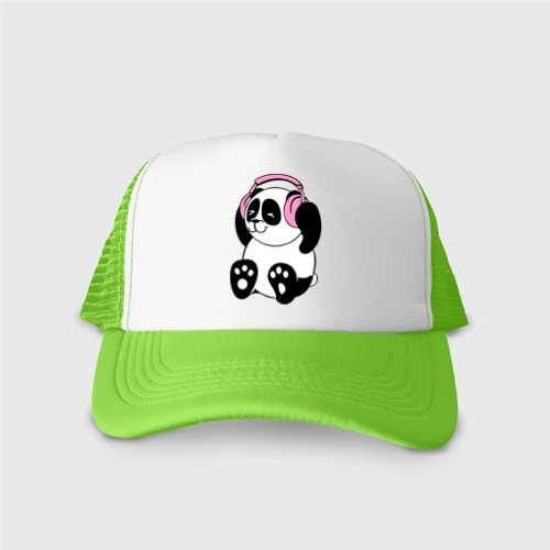 Кепка тракер с сеткой Panda in headphones панда в наушниках