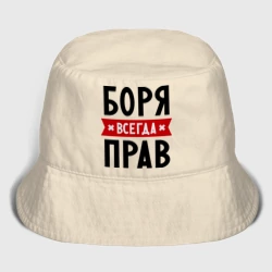 Мужская панама хлопок Боря всегда прав