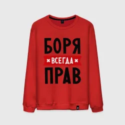 Мужской свитшот хлопок Боря всегда прав