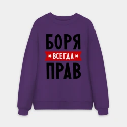 Мужской свитшот oversize без начеса хлопок Боря всегда прав