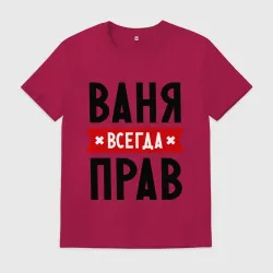 Мужская футболка хлопок Ваня всегда прав
