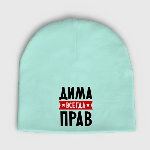 Мужская шапка демисезонная Дима всегда прав
