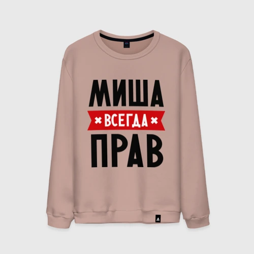 Мужской свитшот хлопок Миша всегда прав