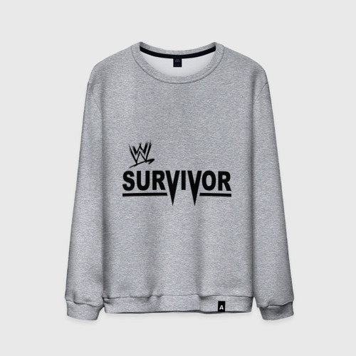 Мужской свитшот хлопок Survivor, цвет меланж