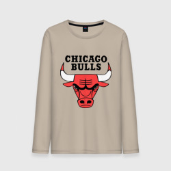 Мужской лонгслив хлопок Chicago bulls logo