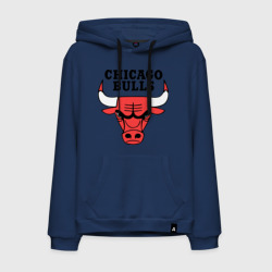 Мужская толстовка хлопок Chicago bulls logo