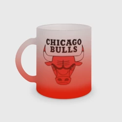 Кружка матовая стеклянная Chicago bulls logo
