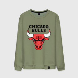 Мужской свитшот хлопок Chicago bulls logo