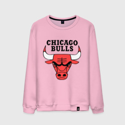 Мужской свитшот хлопок Chicago bulls logo
