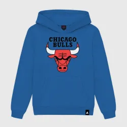 Chicago bulls logo