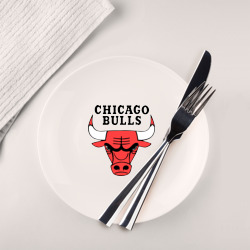 Тарелка Chicago bulls logo