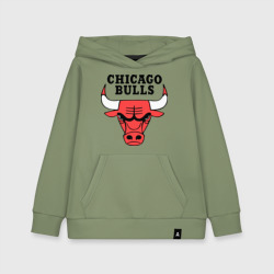 Детская толстовка хлопок Chicago bulls logo