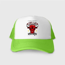Кепка тракер с сеткой Chicago bulls swag