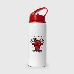 Бутылка для воды с трубочкой Chicago bulls swag
