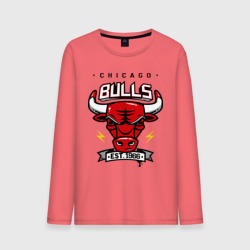 Мужской лонгслив хлопок Chicago bulls swag