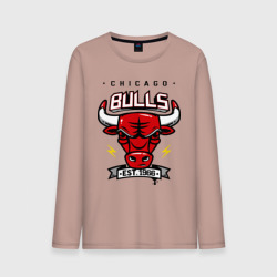 Мужской лонгслив хлопок Chicago bulls swag