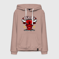 Мужская толстовка хлопок Chicago bulls swag