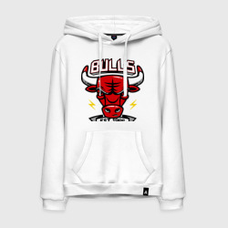 Мужская толстовка хлопок Chicago bulls swag