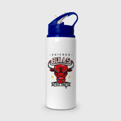 Бутылка для воды с трубочкой Chicago bulls swag