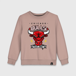 Детский свитшот хлопок Chicago bulls swag