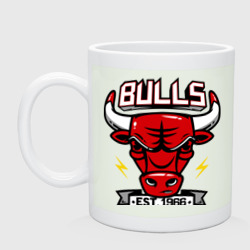 Кружка керамическая Chicago bulls swag
