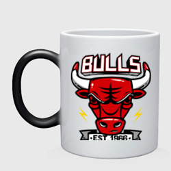 Кружка хамелеон Chicago bulls swag